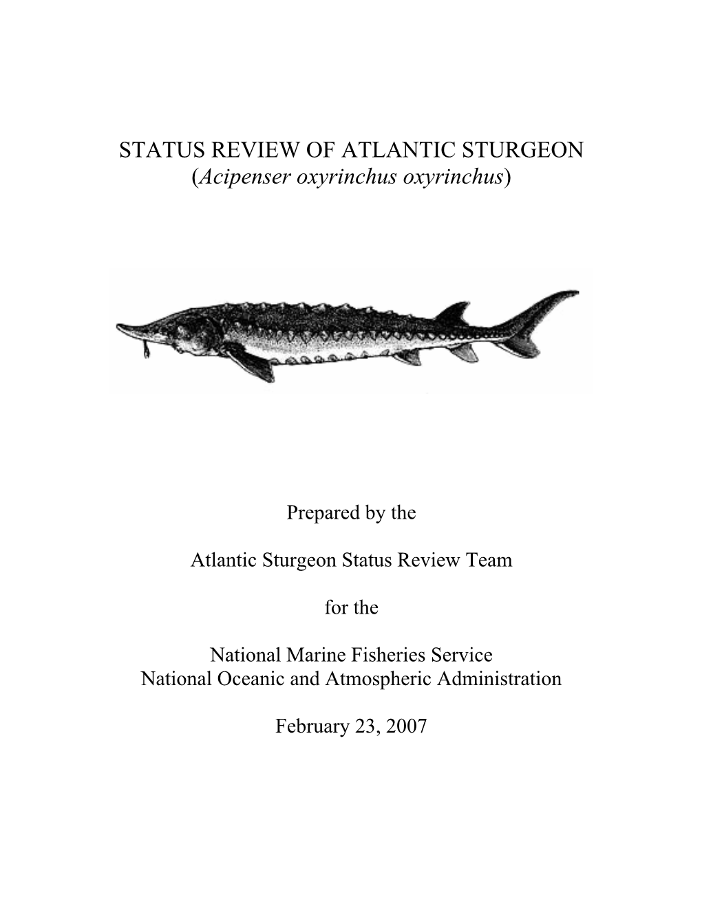 2007 Status Review of Atlantic Sturgeon (Acipenser Oxyrinchus