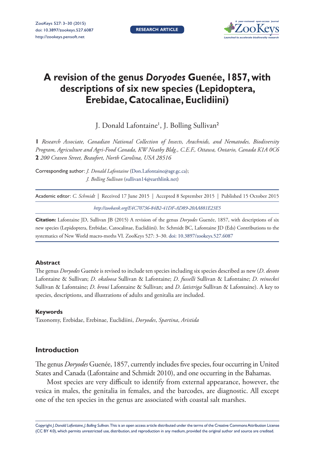 ﻿A Revision of the Genus Doryodes Guenée, 1857, with Descriptions Of