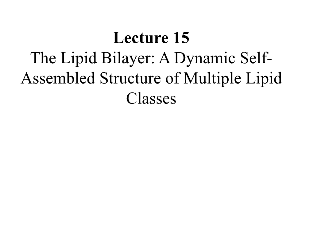 Lecture 15 the Lipid Bilayer: a Dynamic Self- Assembled Structure of Multiple Lipid Classes