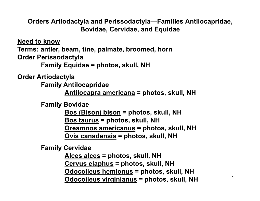 Orders Artiodactyla and Perissodactyla