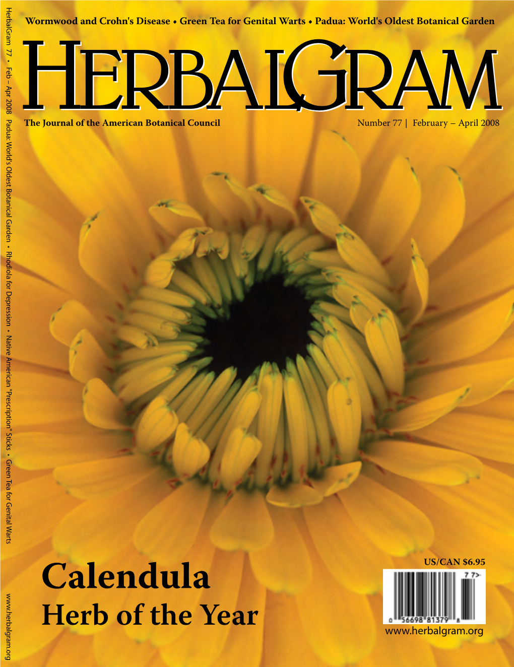 Calendula Herb of the Year