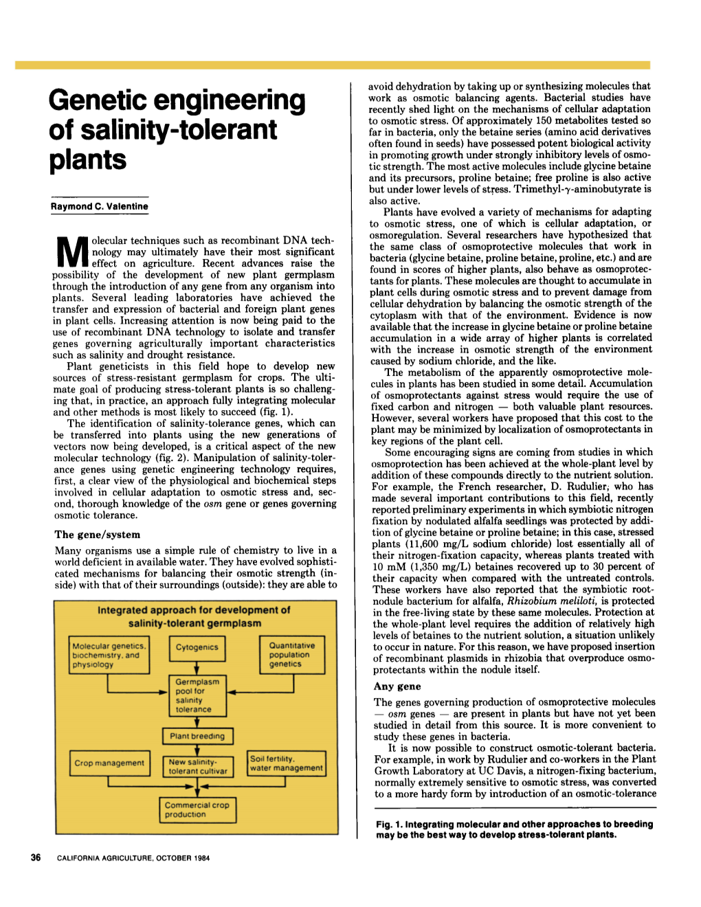 Genetic Engineering of Salinity-Tolerant Plants
