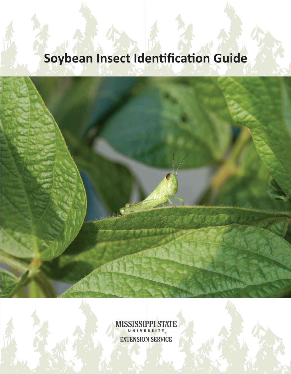 P2543 Soybean Insect Identification Guide