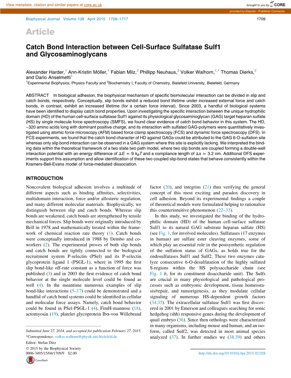 Catch Bond Interaction Between Cell-Surface Sulfatase Sulf1 and Glycosaminoglycans