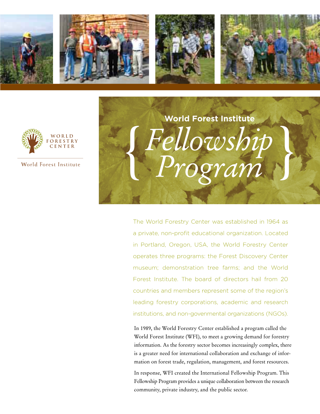 Fellowship Program