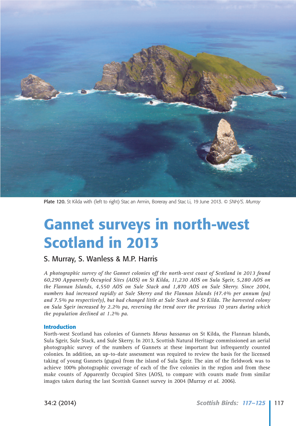 Gannet Surveys in North-West Scotland in 2013 S