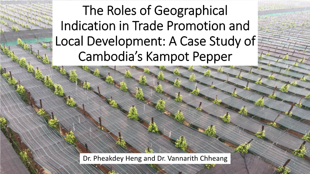 The Roles of Geographical Indication in Trade Promotion and Local Development: a Case Study of Cambodia’S Kampot Pepper