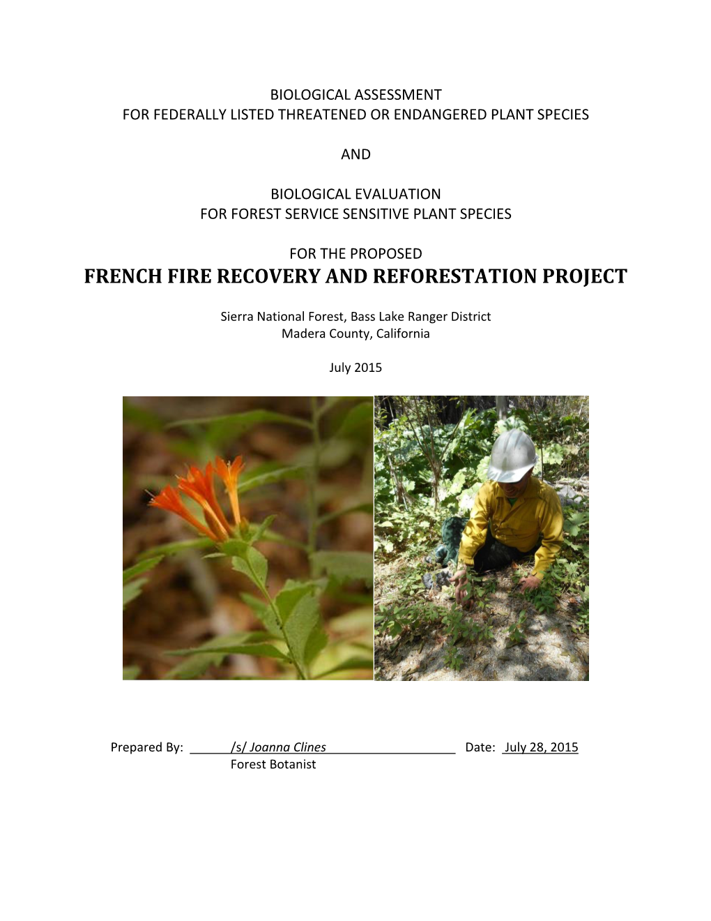 French Fire Recovery and Reforestation Project