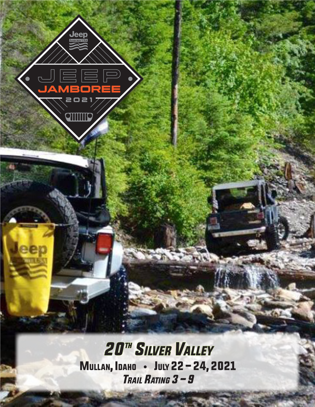 20Th Silver Valley Silver Valley