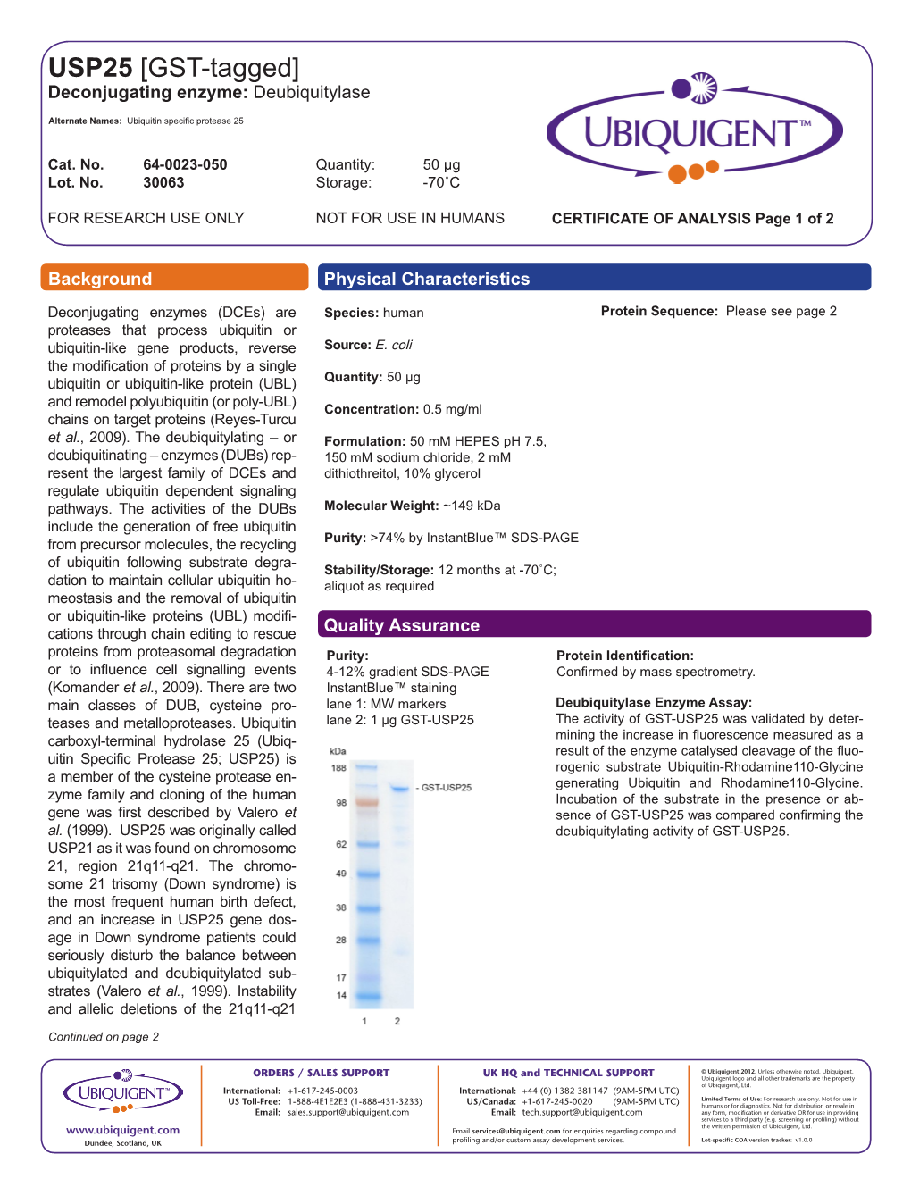 USP25 [GST-Tagged] Deconjugating Enzyme: Deubiquitylase