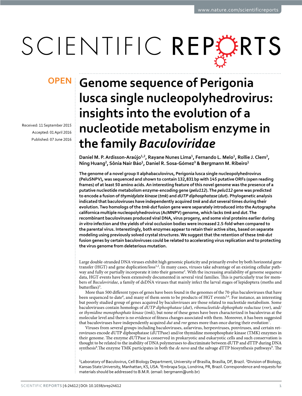 Genome Sequence of Perigonia Lusca Single