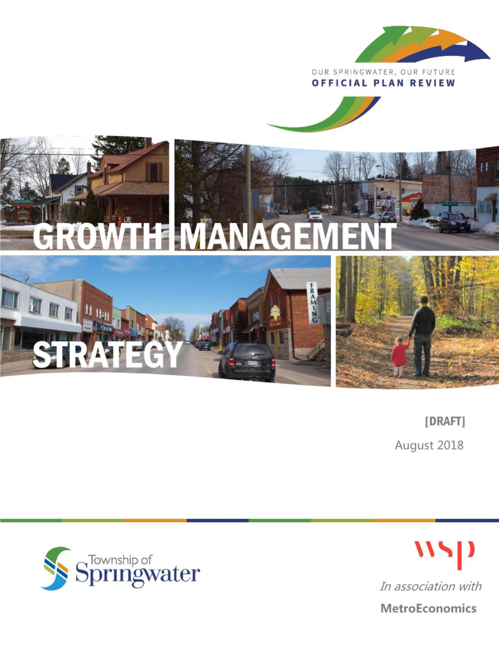 Growth Management Strategy (GMS) Was Prepared by WSP for the Township of Springwater (The Township)