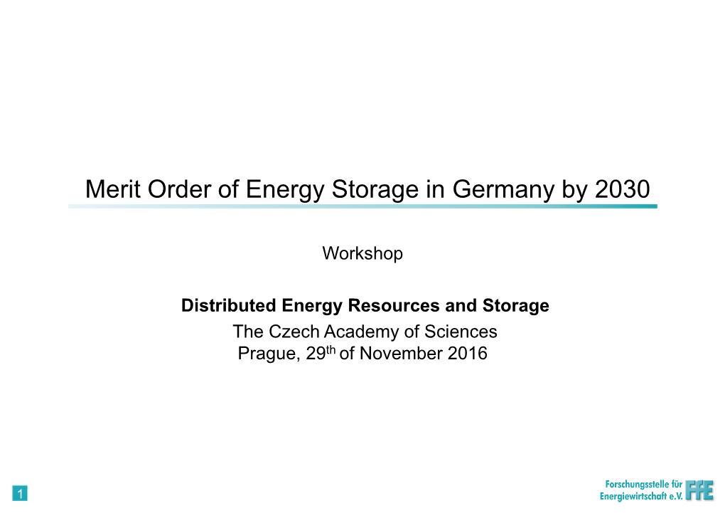 Merit Order of Energy Storage in Germany by 2030