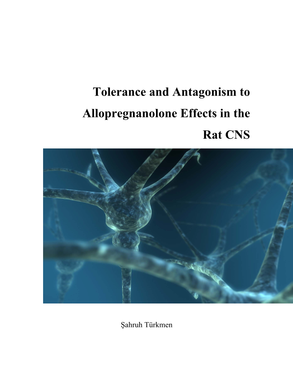 Tolerance and Antagonism to Allopregnanolone Effects in the Rat CNS