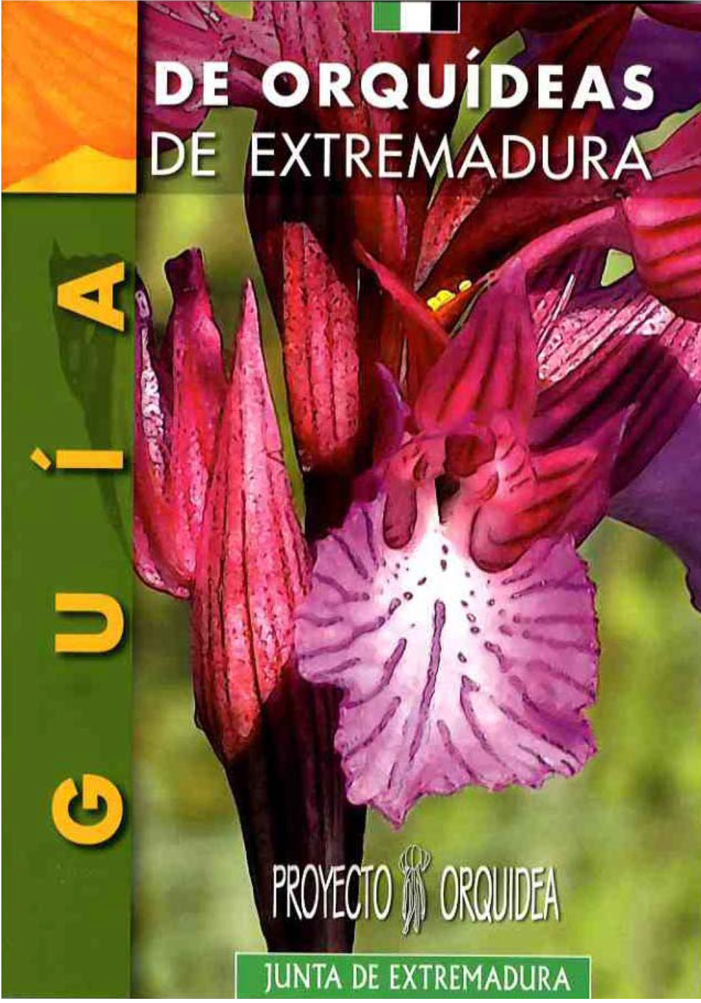 Orquídeas De Extremadura