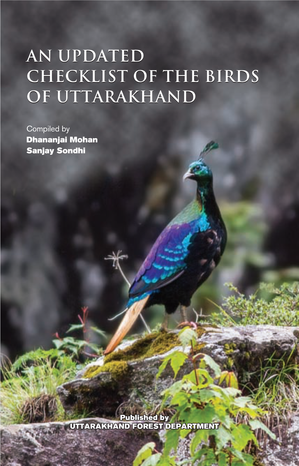 Uttarakhand Birds Checklist