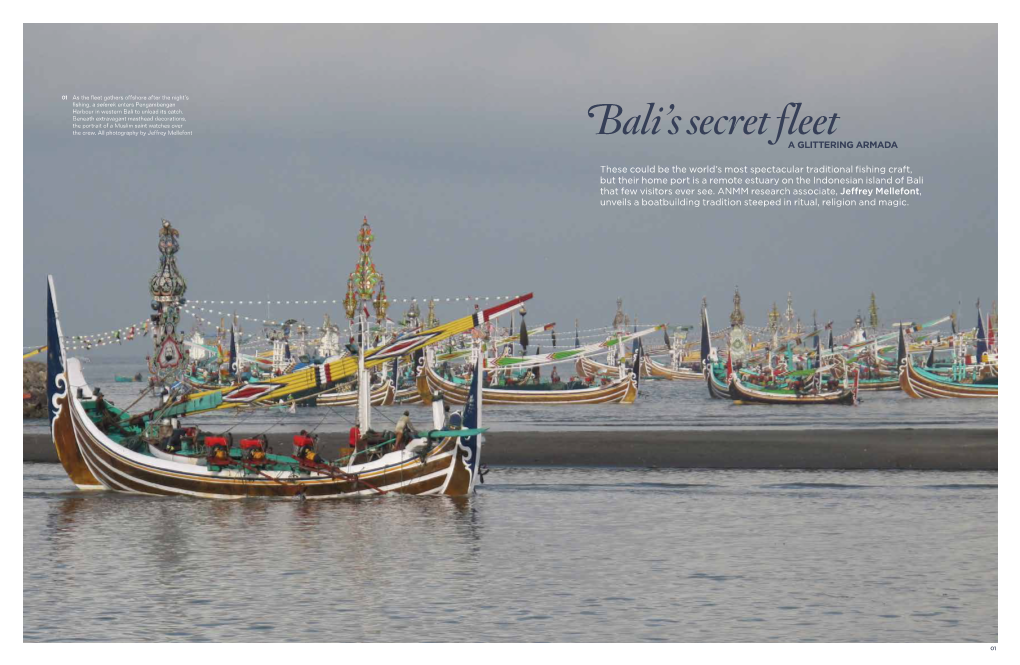 Bali's Secret Fleet