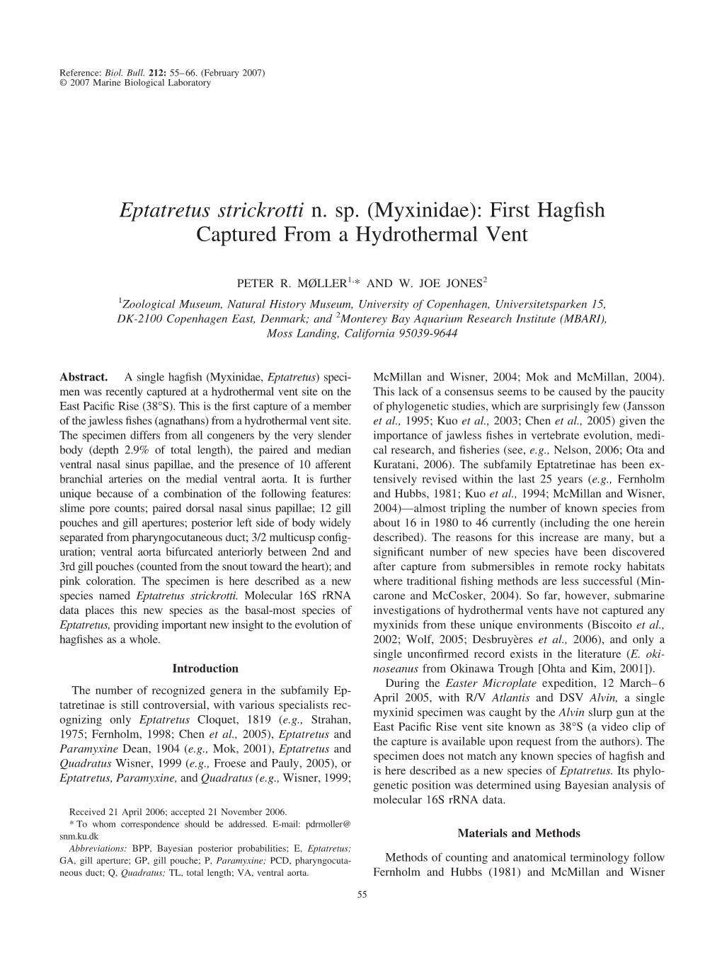 Eptatretus Strickrotti N. Sp. (Myxinidae): First Hagﬁsh Captured from a Hydrothermal Vent