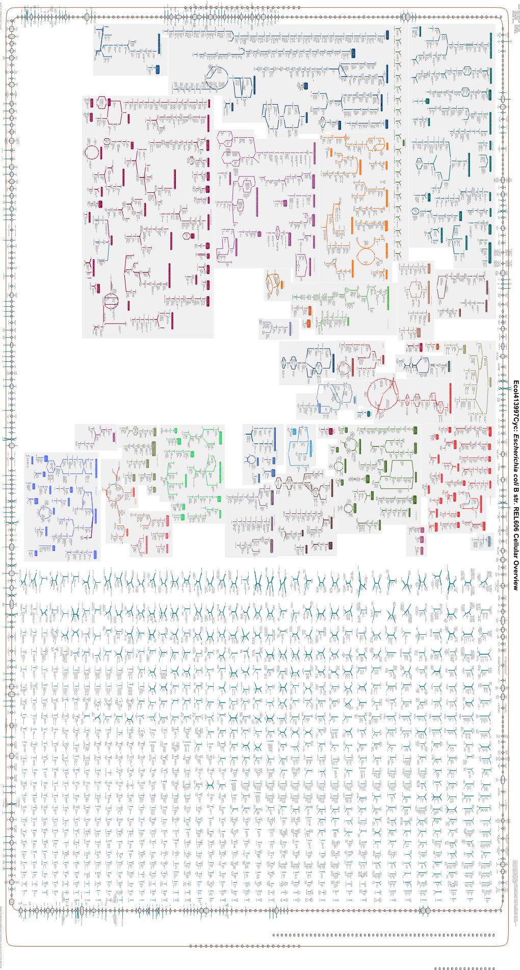 Generate Metabolic Map Poster