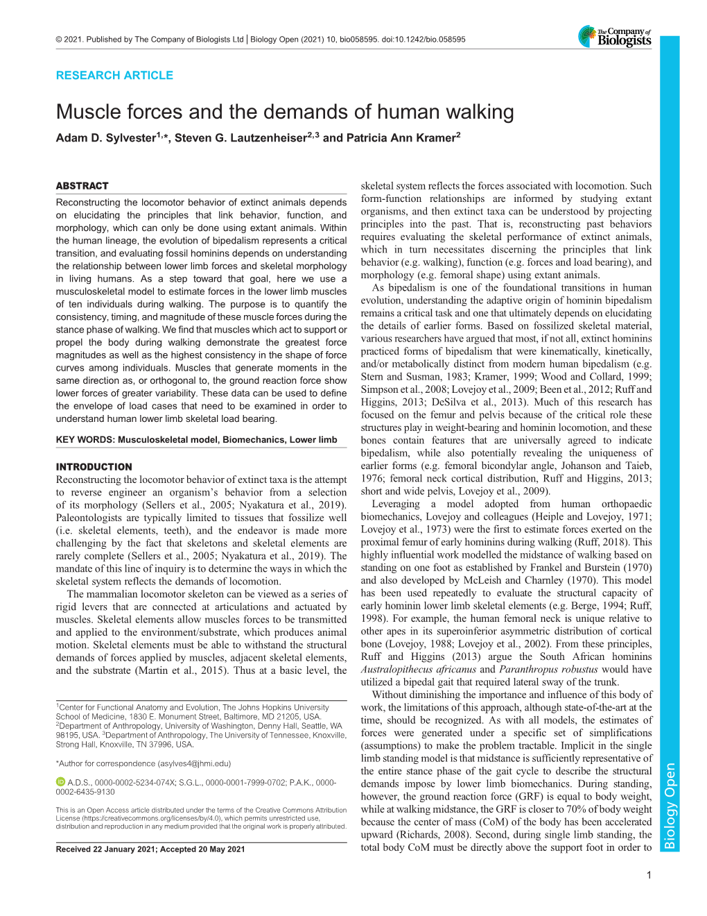 Muscle Forces and the Demands of Human Walking Adam D