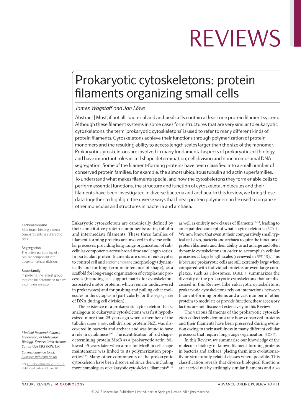 Prokaryotic Cytoskeletons: Protein Filaments Organizing Small Cells