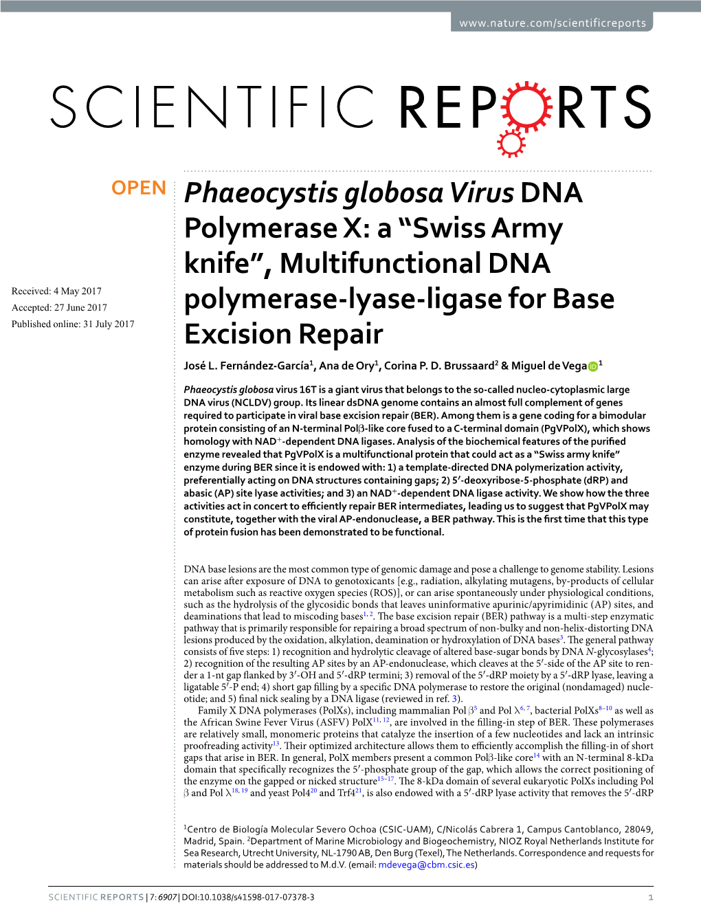 Phaeocystis Globosa Virus DNA Polymerase X: a “Swiss Army Knife