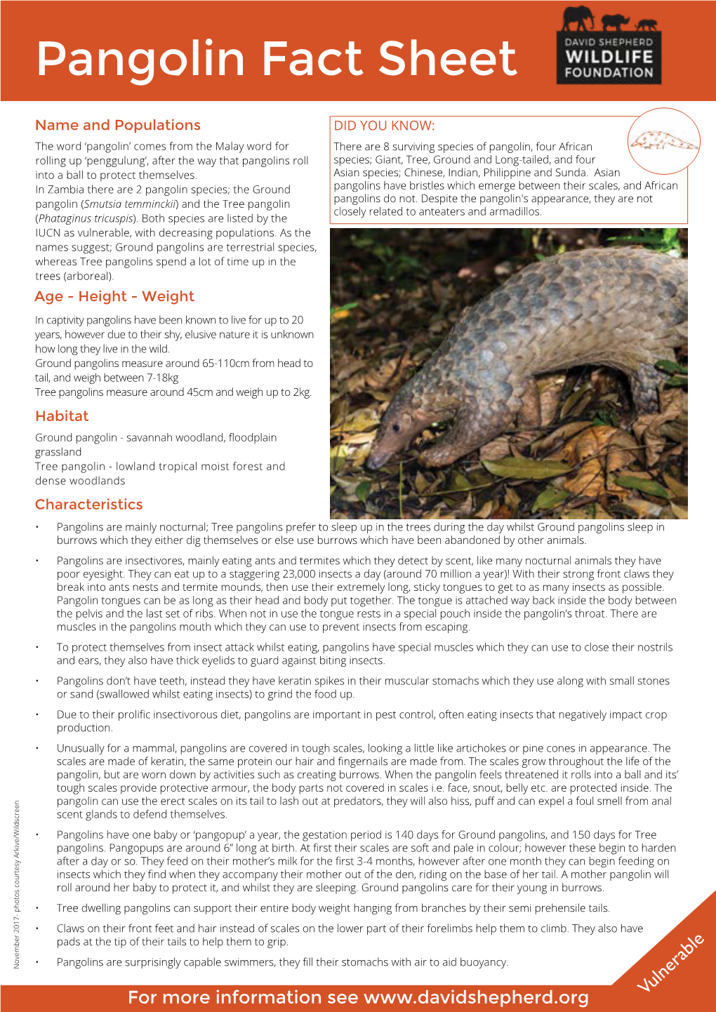 Pangolin Fact Sheet