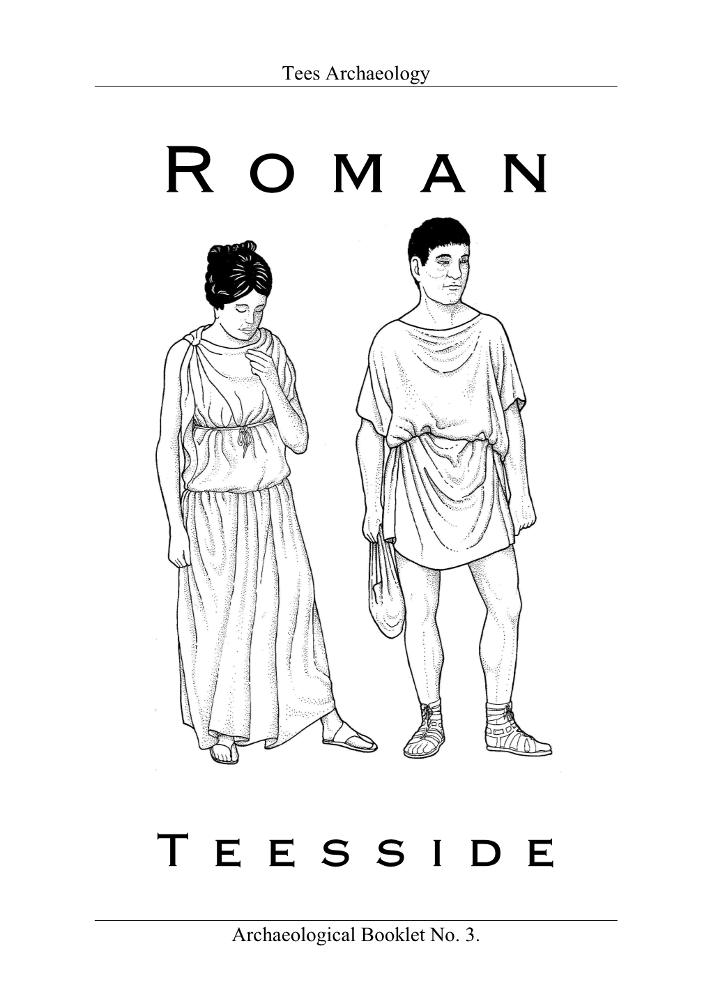 Roman Teesside 8