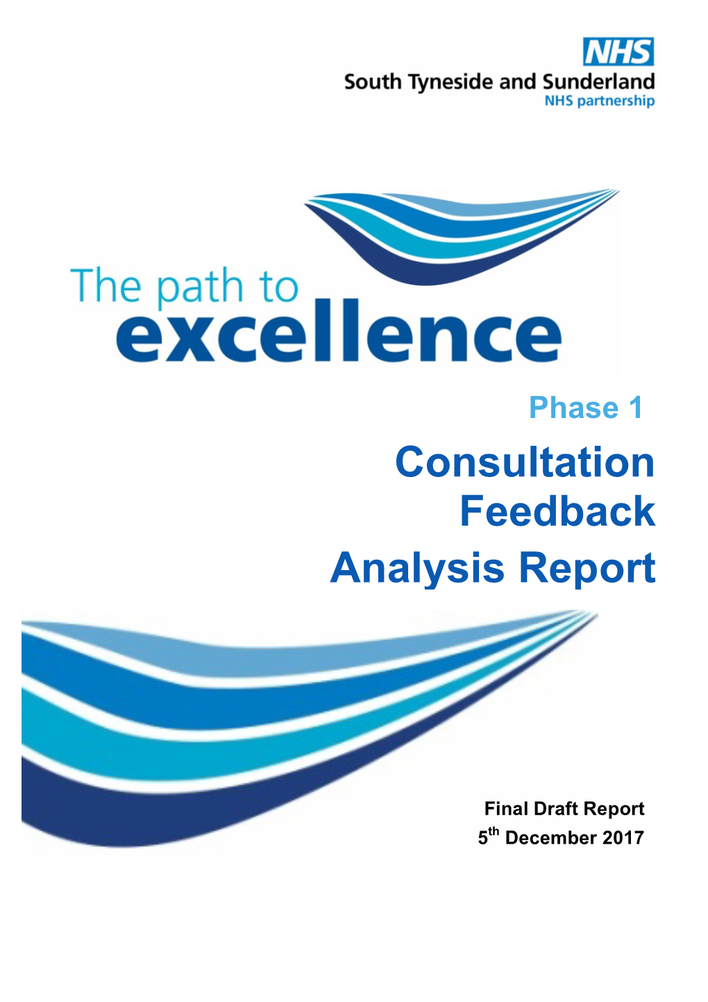 Path to Excellence Consultation Analysis Final Report 080118 Inc