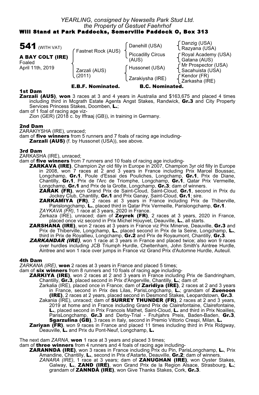 YEARLING, Consigned by Newsells Park Stud Ltd. the Property of Gestuet Faehrhof Will Stand at Park Paddocks, Somerville Paddock O, Box 313
