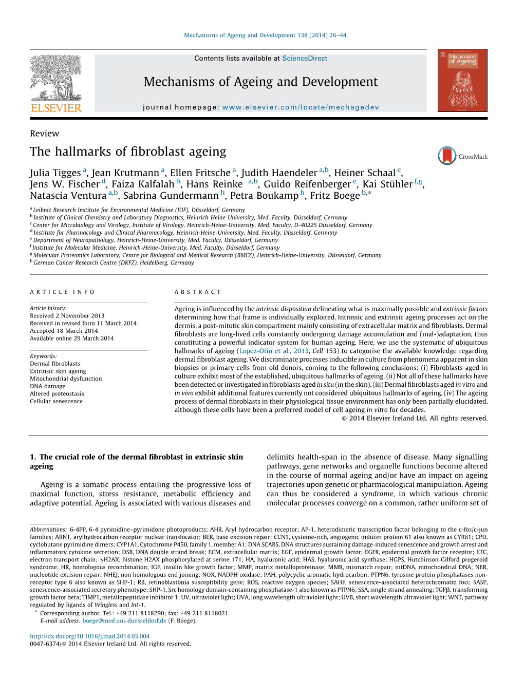 The Hallmarks of Fibroblast Ageing