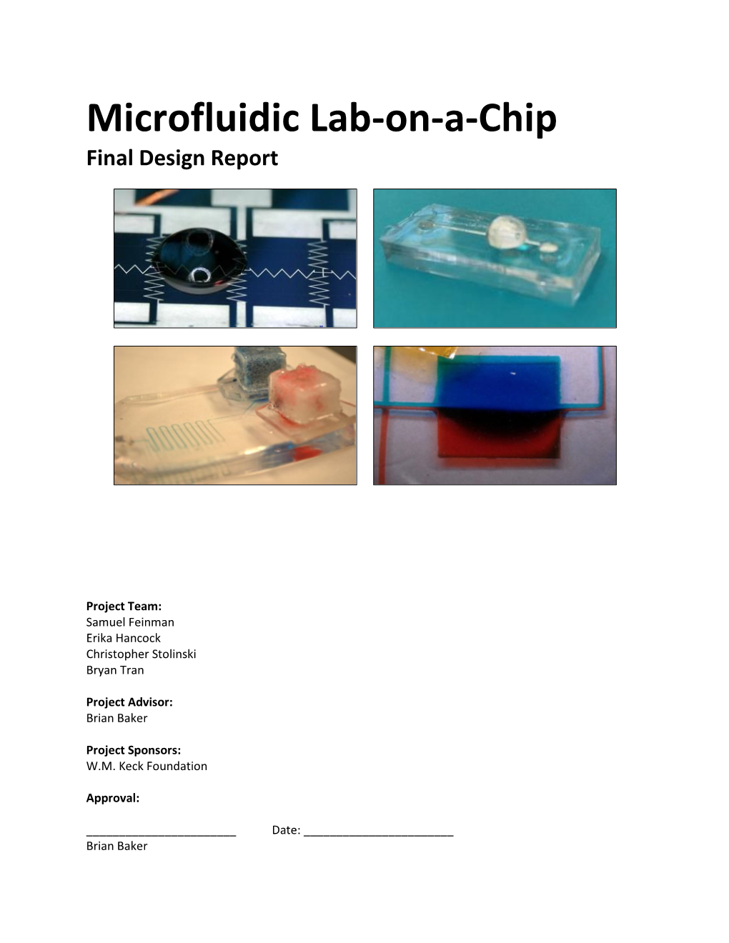 Microfluidic Lab-On-A-Chip Final Design Report