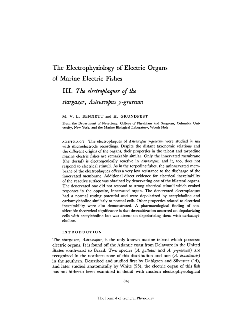 III. 7He Electroplaques of the Stargazer, Astroscopus Y-Graecum