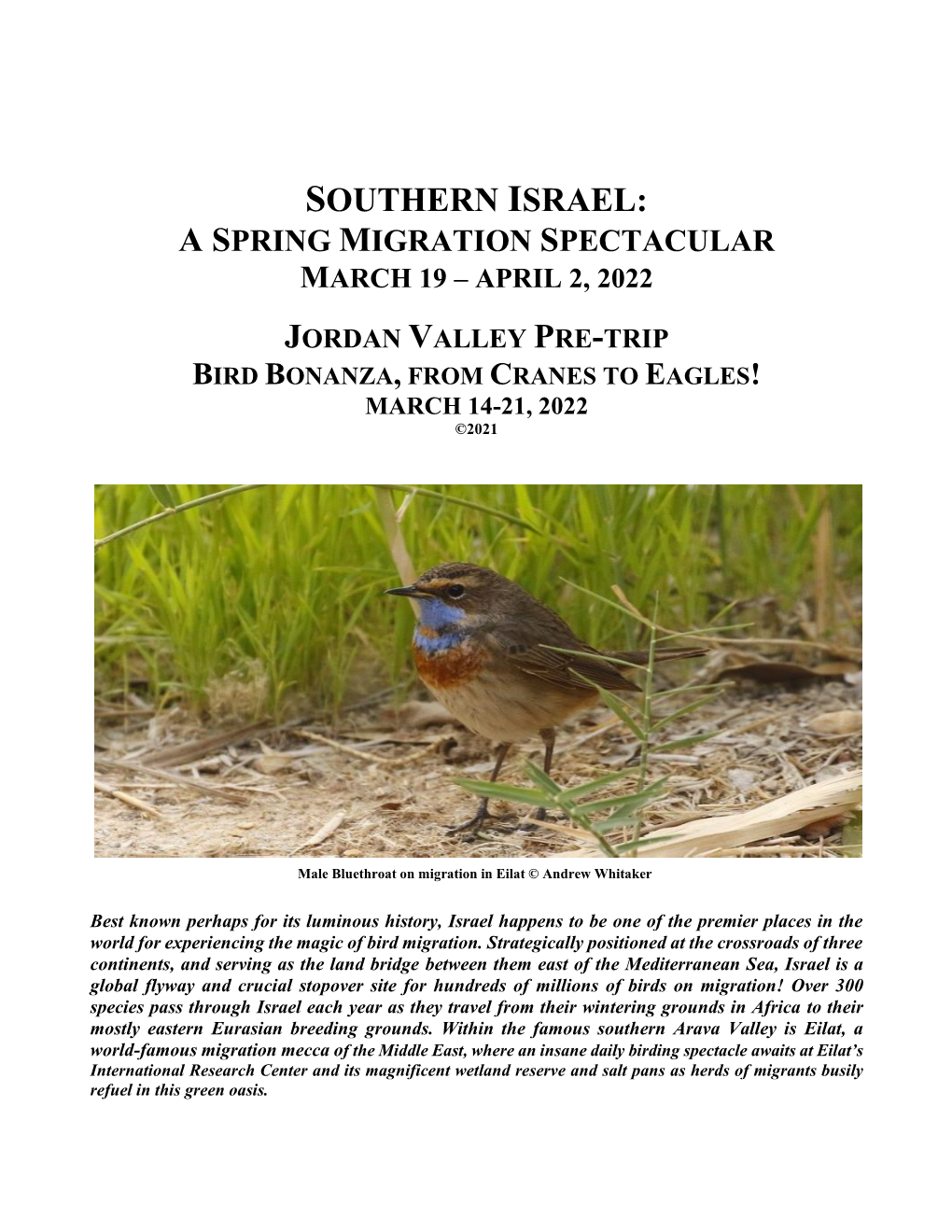 Southern Israel: a Spring Migration Spectacular March 19 – April 2, 2022