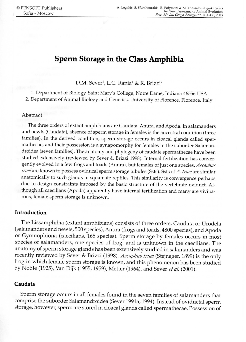 Sperm Storage in the Class Amphibia