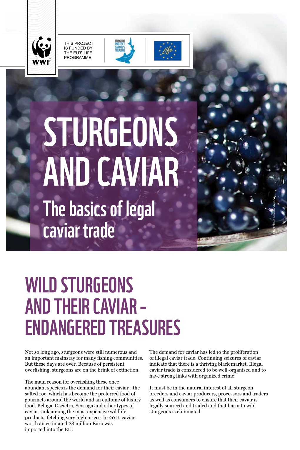 Sturgeons and Caviar