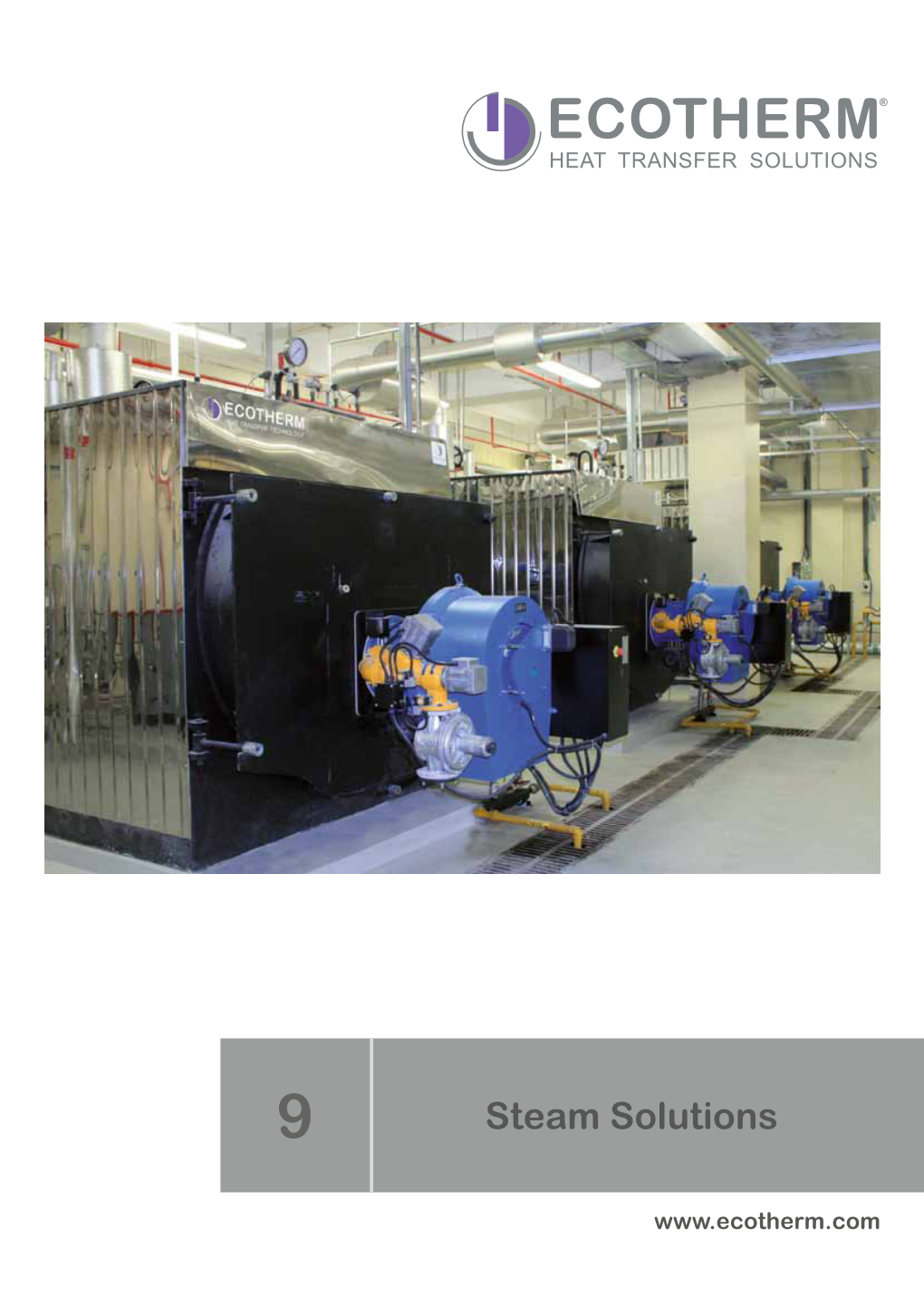 ECOTHERM Steam Solutions (PDF)