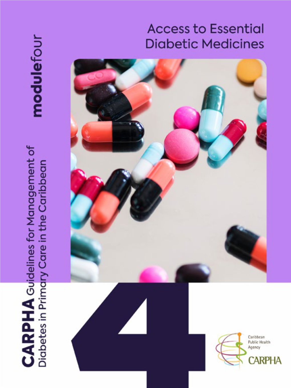 CARPHA Diabetes Guidelines: the Modular Approach Expanded 18 the Client-Centred Approach to Chronic Care 21 Introduction