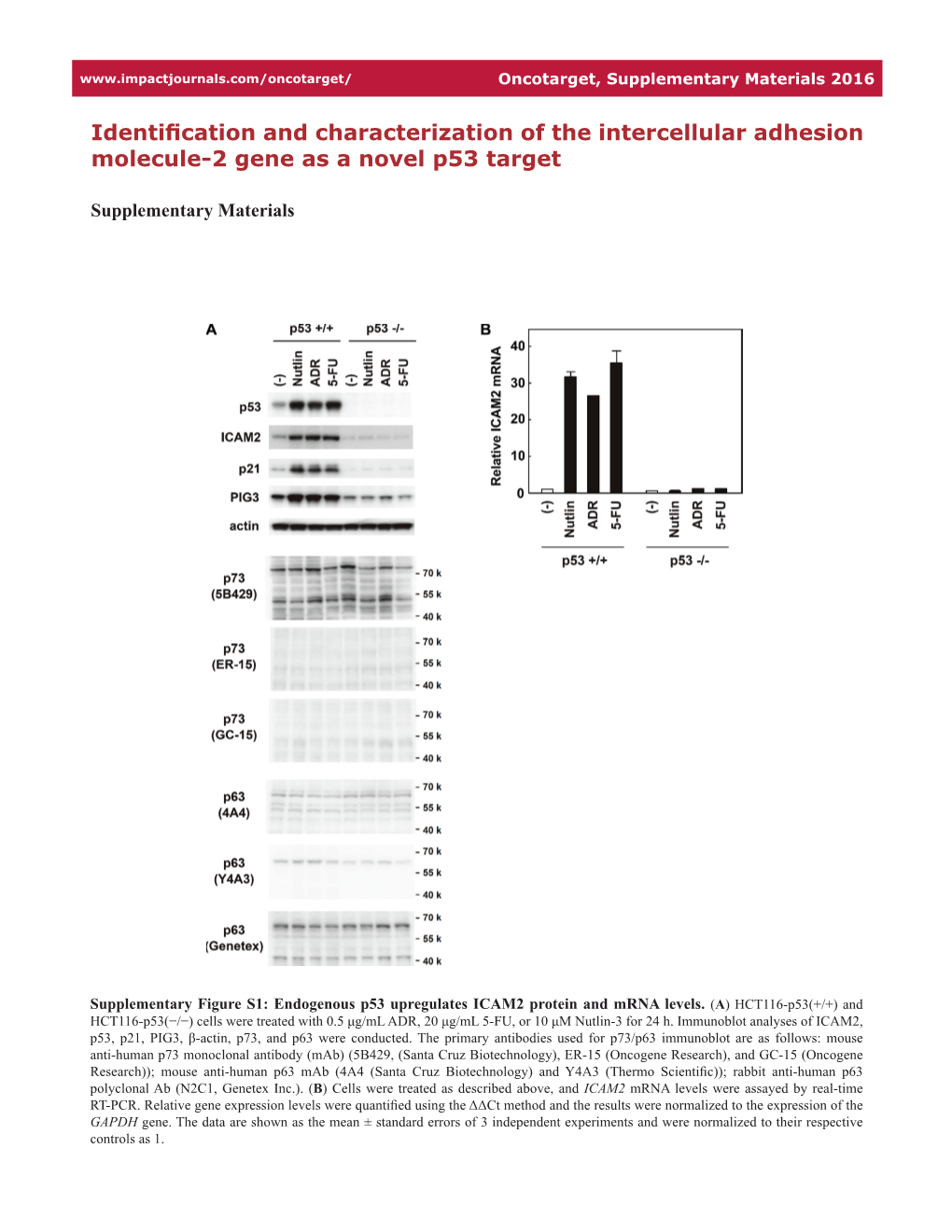 Identification and Characterization of the Intercellular Adhesion Molecule-2 Gene As a Novel P53 Target
