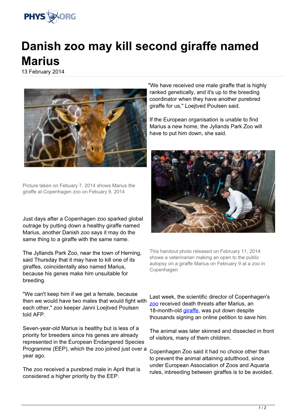 Danish Zoo May Kill Second Giraffe Named Marius 13 February 2014