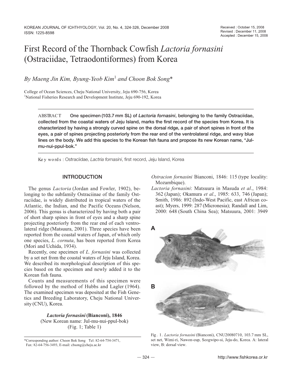 First Record of the Thornback Cowfish Lactoria Fornasini (Ostraciidae, Tetraodontiformes) from Korea