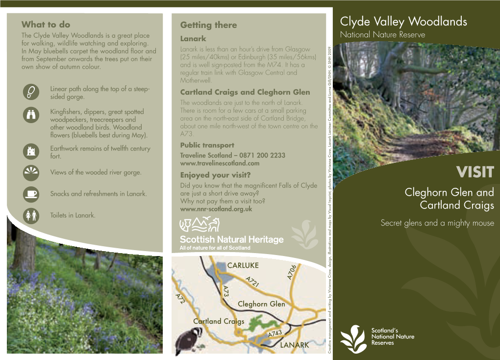 Clyde Valley Woodlands