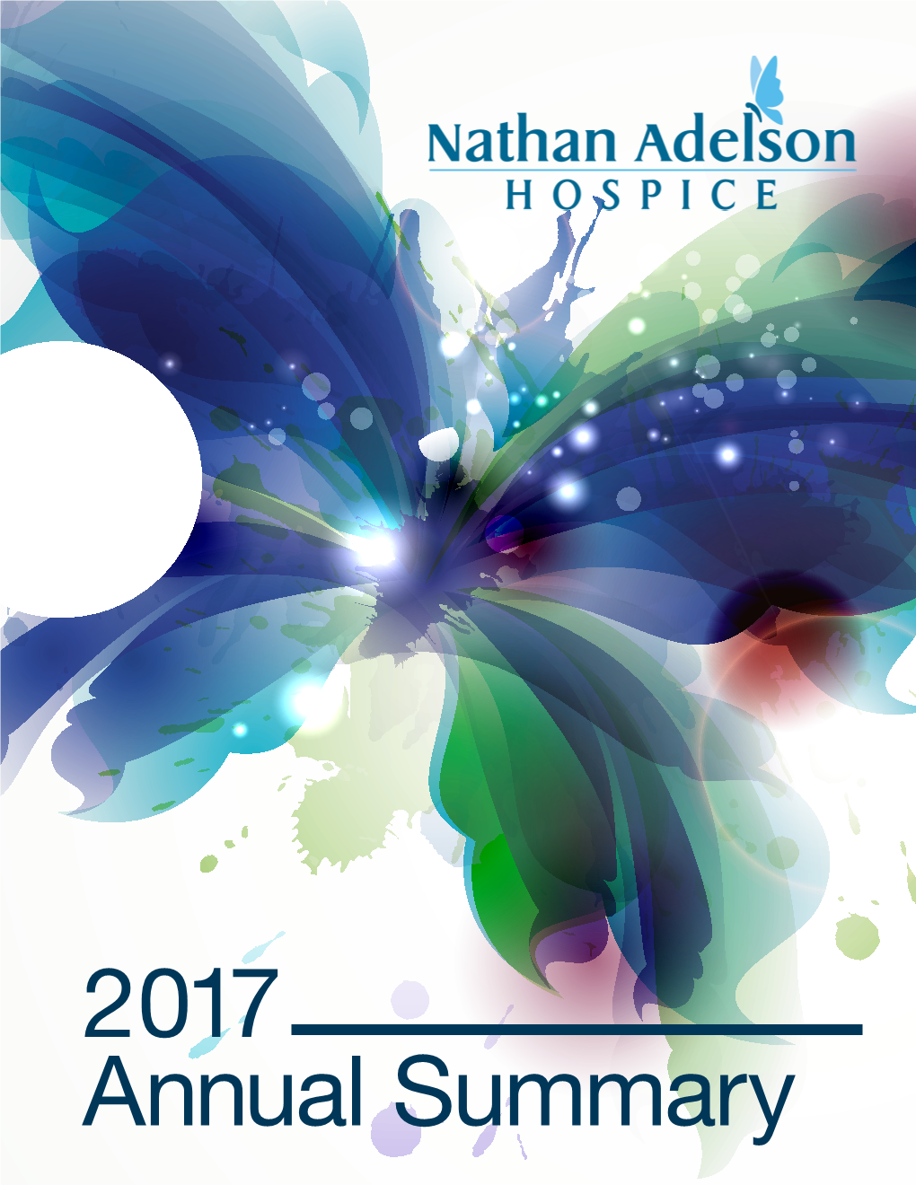 2017 Annual Summary Details the Accomplishments of Our Organization