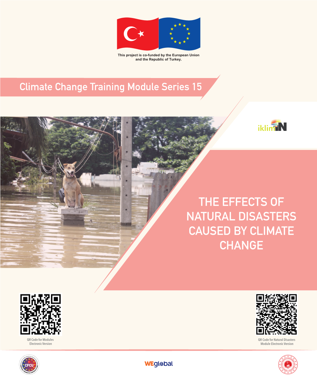 The Effects of Natural Disasters Caused by Climate Change