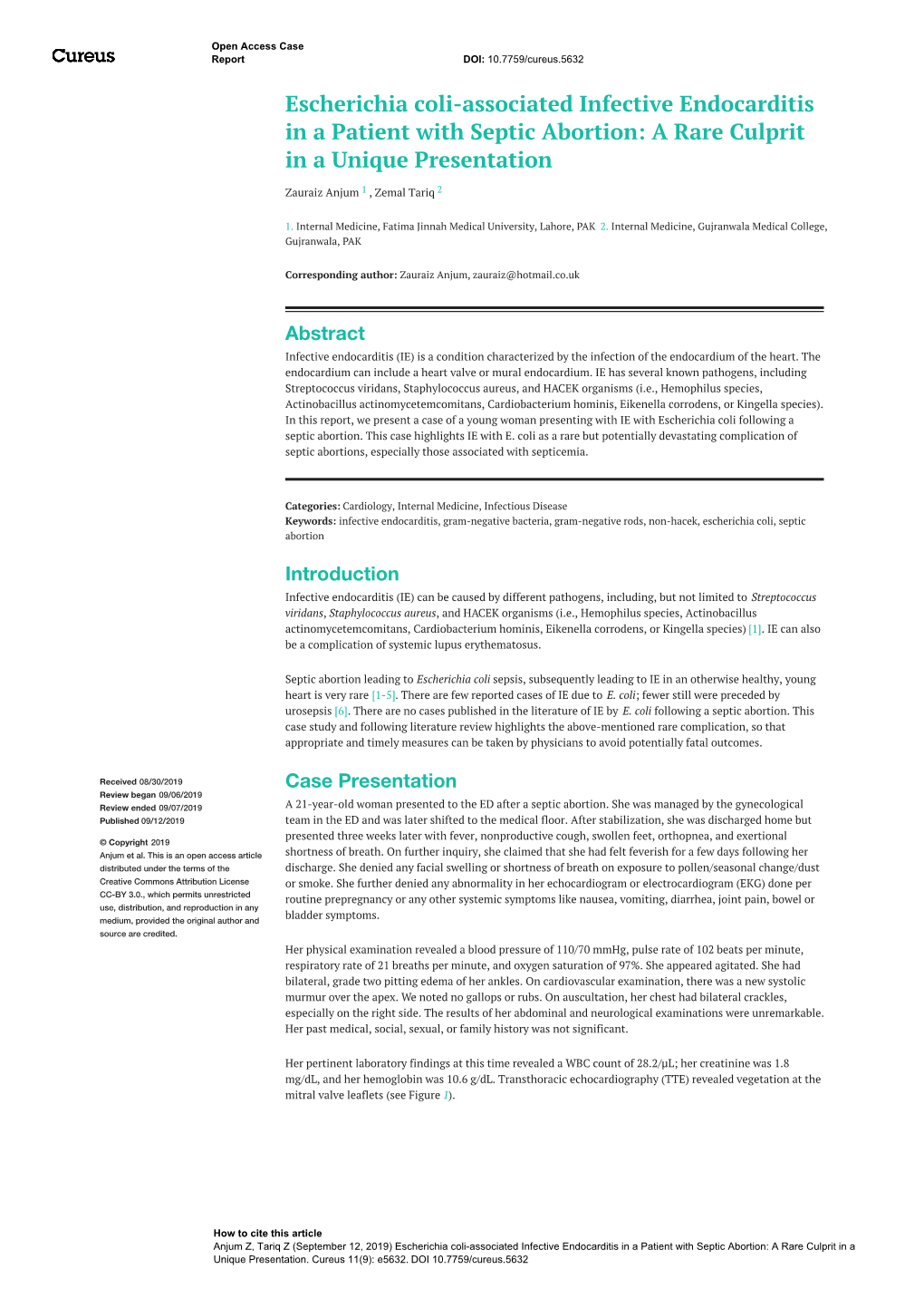 Escherichia Coli-Associated Infective Endocarditis in a Patient with Septic Abortion: a Rare Culprit in a Unique Presentation