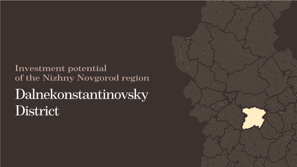 Investment Potential of the Nizhny Novgorod Region Dalnekonstantinovsky District Overview