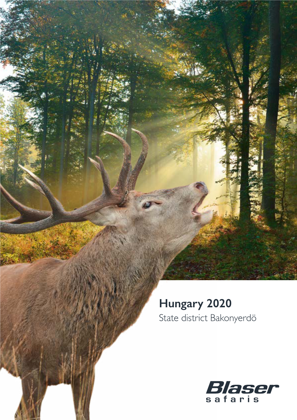 Hungary 2020 State District Bakonyerdö