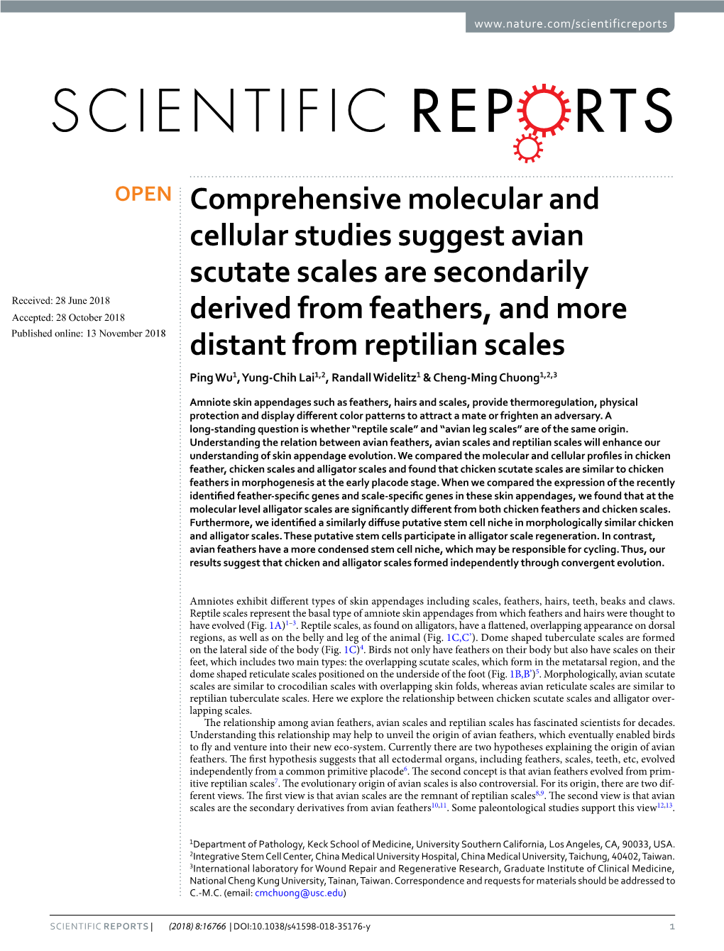 Comprehensive Molecular and Cellular Studies Suggest Avian