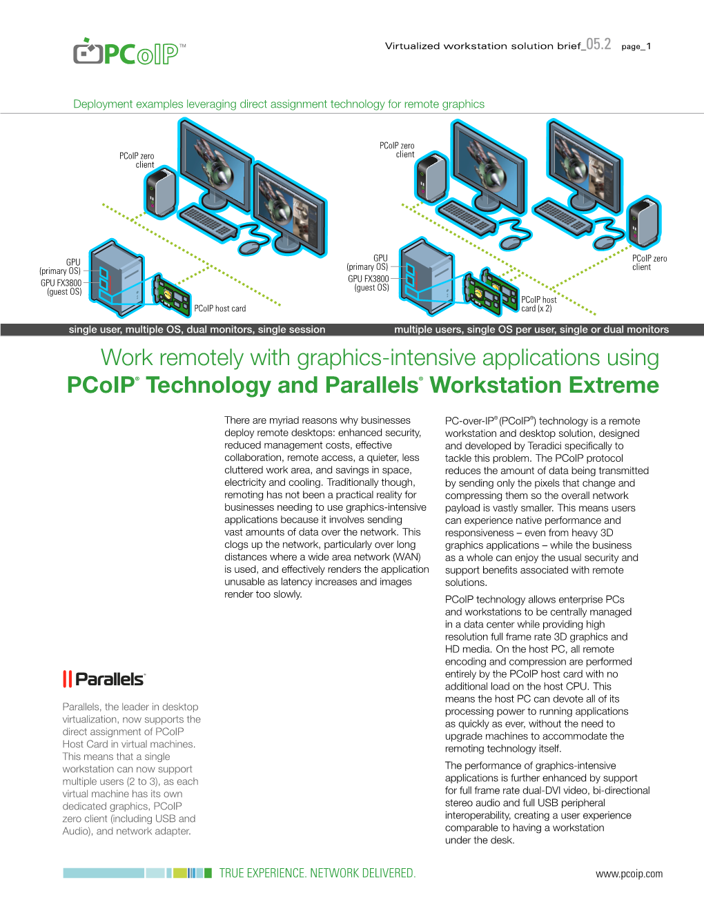 Pcoip Virtualized Remote Workstation Solution Brief