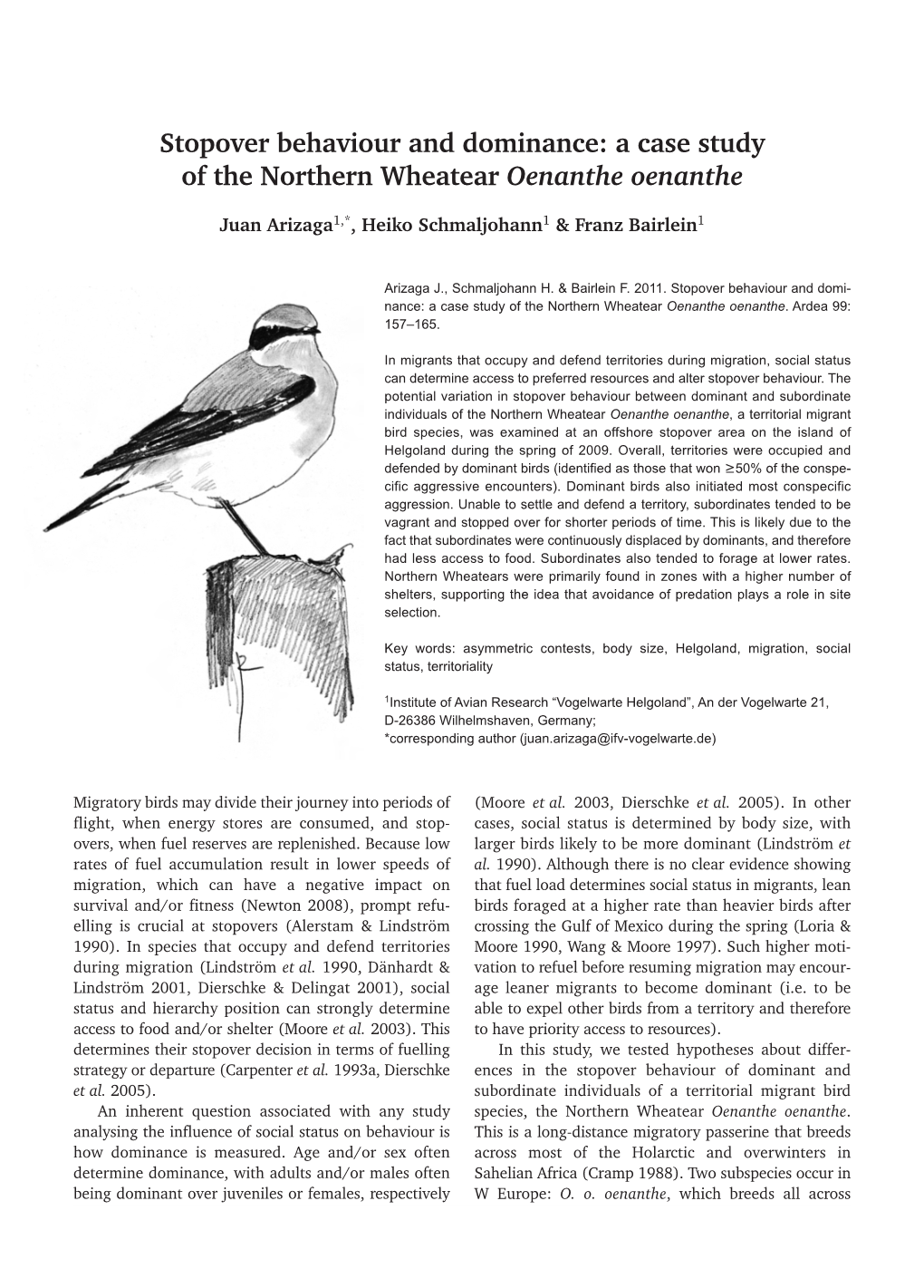 Stopover Behaviour and Dominance: a Case Study of the Northern Wheatear Oenanthe Oenanthe